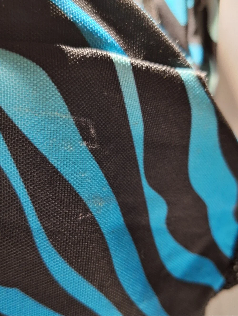 Jansport Backpack, Zebra Stripes, Black & Blue & White w/Blue Accents